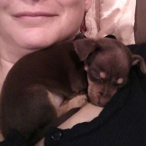 Meet your Posher, Christine